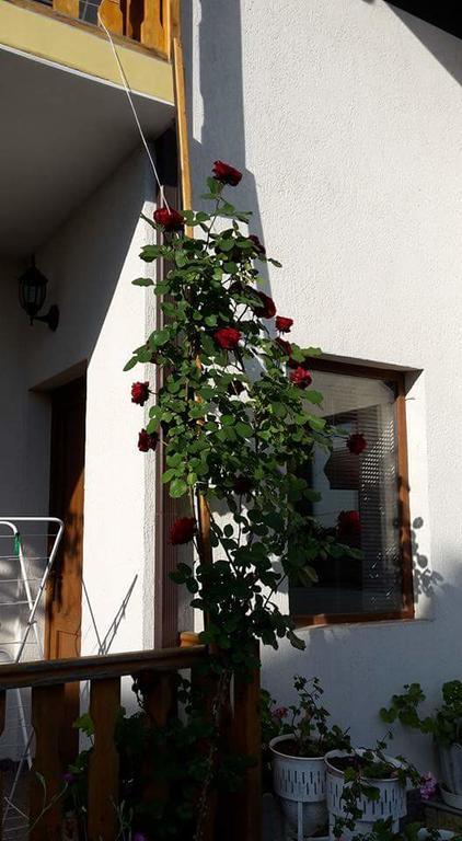 Guest House Nash Dom Καβάρνα Εξωτερικό φωτογραφία